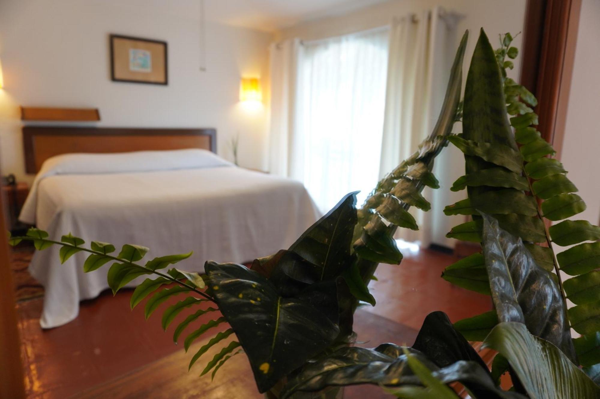 Hotel Ilebal Cuernavaca Centro - Lugar Con Encanto! מראה חיצוני תמונה