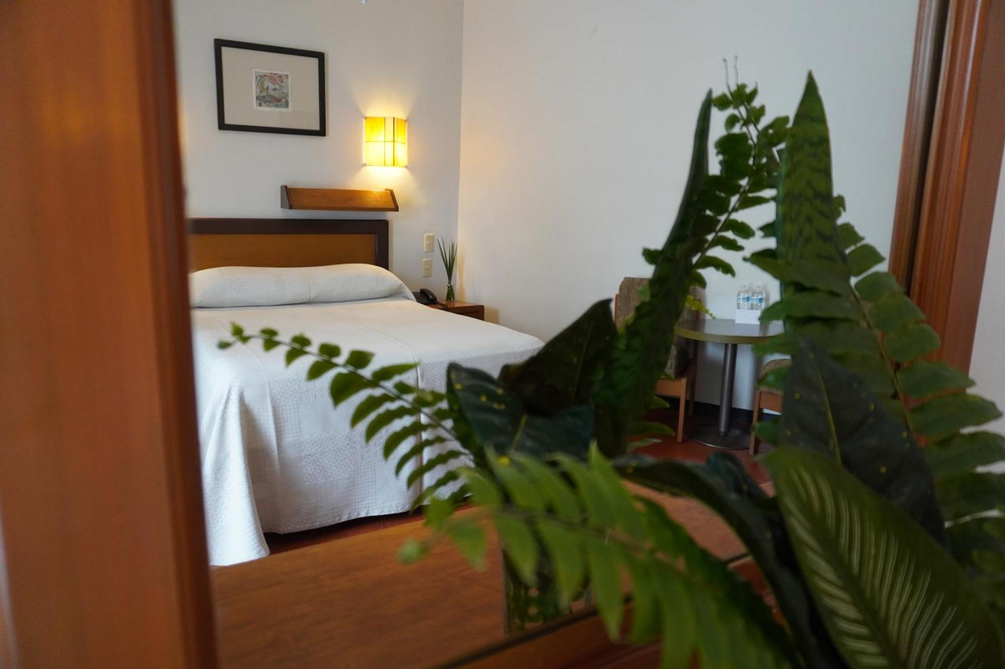 Hotel Ilebal Cuernavaca Centro - Lugar Con Encanto! מראה חיצוני תמונה