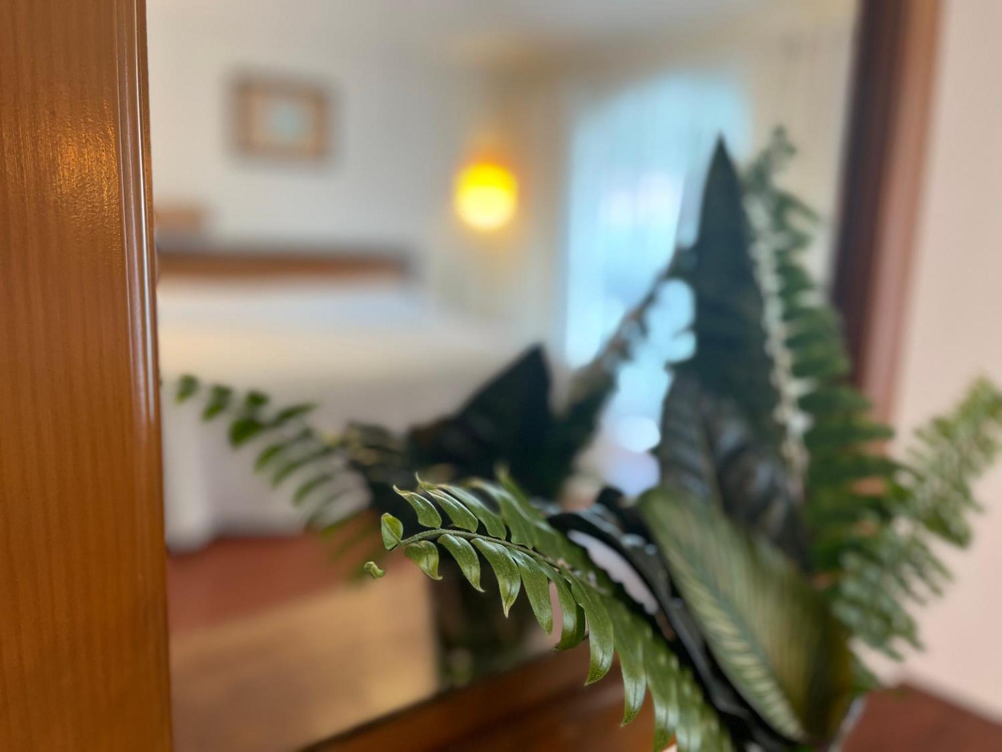 Hotel Ilebal Cuernavaca Centro - Lugar Con Encanto! מראה חיצוני תמונה