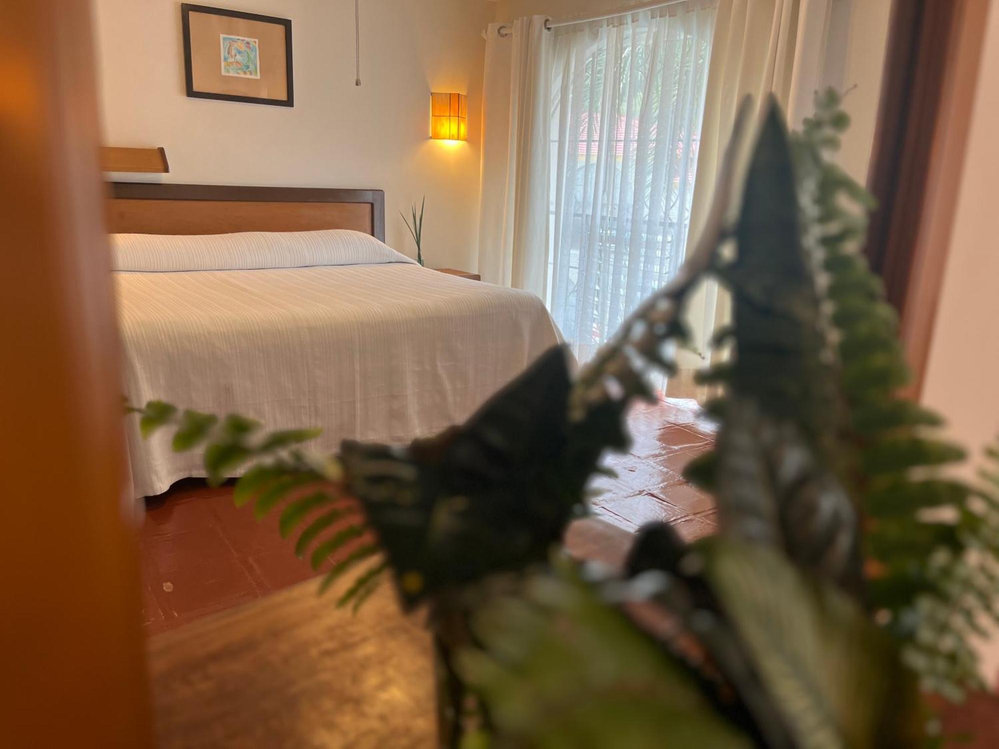 Hotel Ilebal Cuernavaca Centro - Lugar Con Encanto! מראה חיצוני תמונה