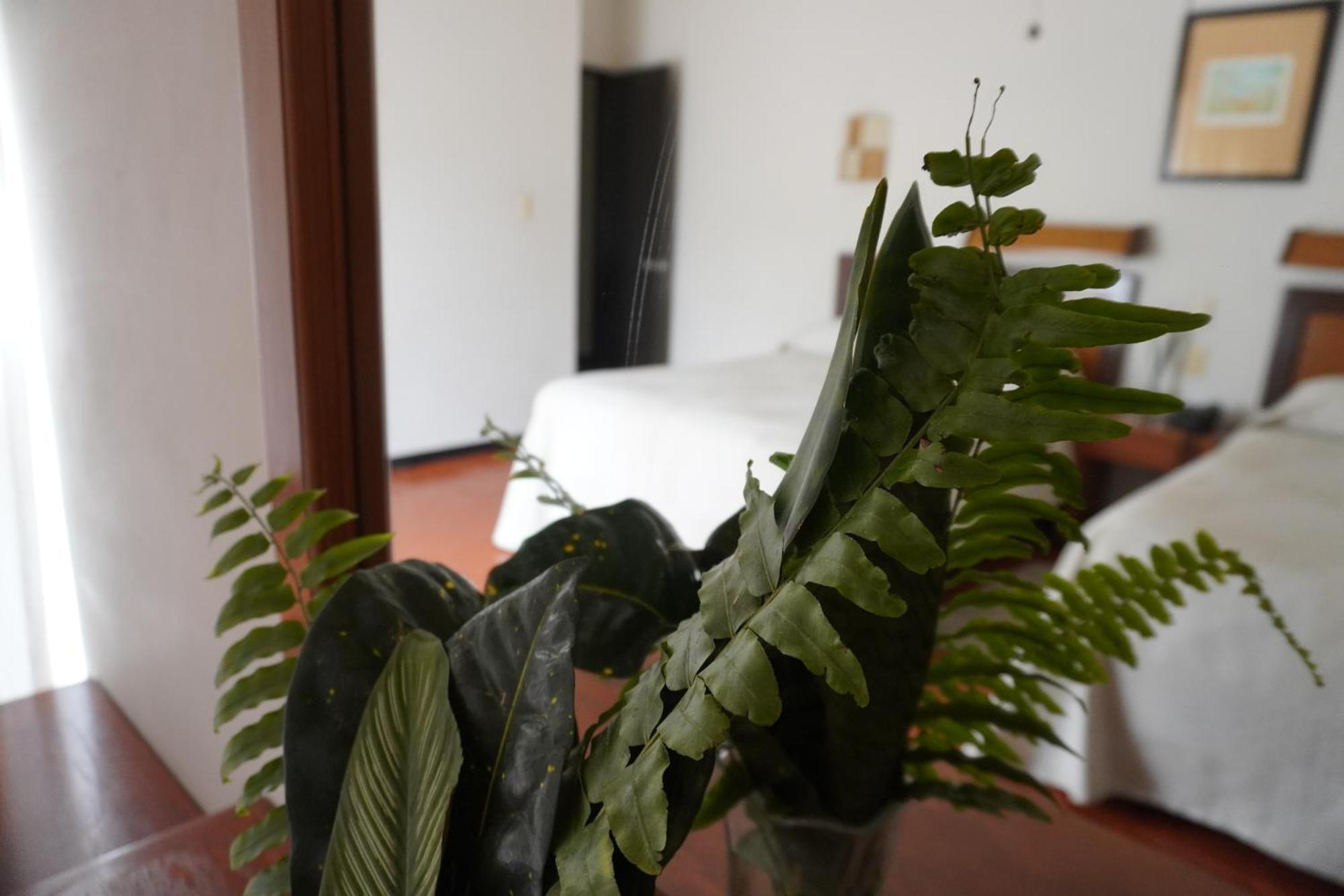 Hotel Ilebal Cuernavaca Centro - Lugar Con Encanto! מראה חיצוני תמונה