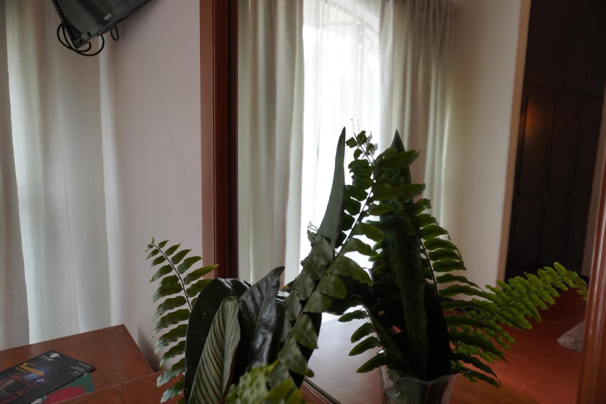Hotel Ilebal Cuernavaca Centro - Lugar Con Encanto! מראה חיצוני תמונה